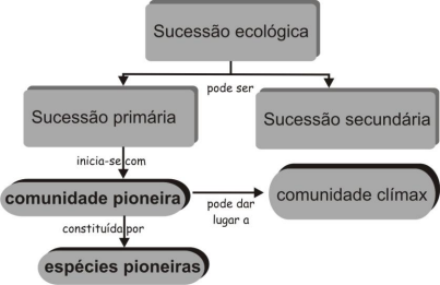 AIO | Observe O Esquema Dos Tipos De