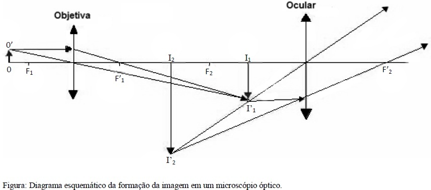 AIO | Um Microscopio Optico E Utilizado Para
